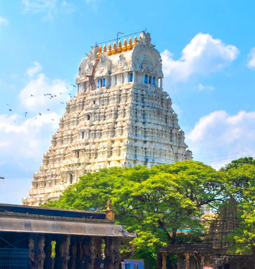 PSU Lagarakshagan Foundation dedicated team in Kanchipuram